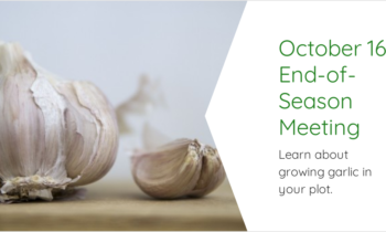 End-of-Season Meeting & Garlic Growing